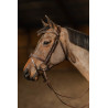 Bridon combiné Milano HFI Master Pro Line - Marron / or