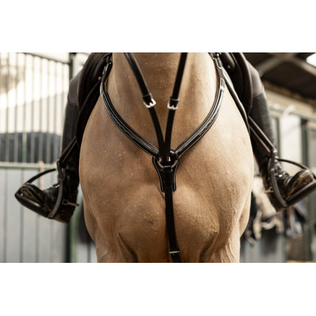 Collier de chasse Arezzo HFI Master Pro Line