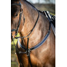 Collier de chasse élastique + martingale HFI Master - Noir / marine