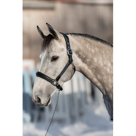 Licol cuir nylon Mixed HFI Master