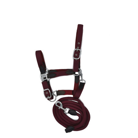 Licol néoprène Smart + longe en nylon HFI Master