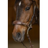 Set Muserolle Gourmette Hackamore HFI Master - Marron