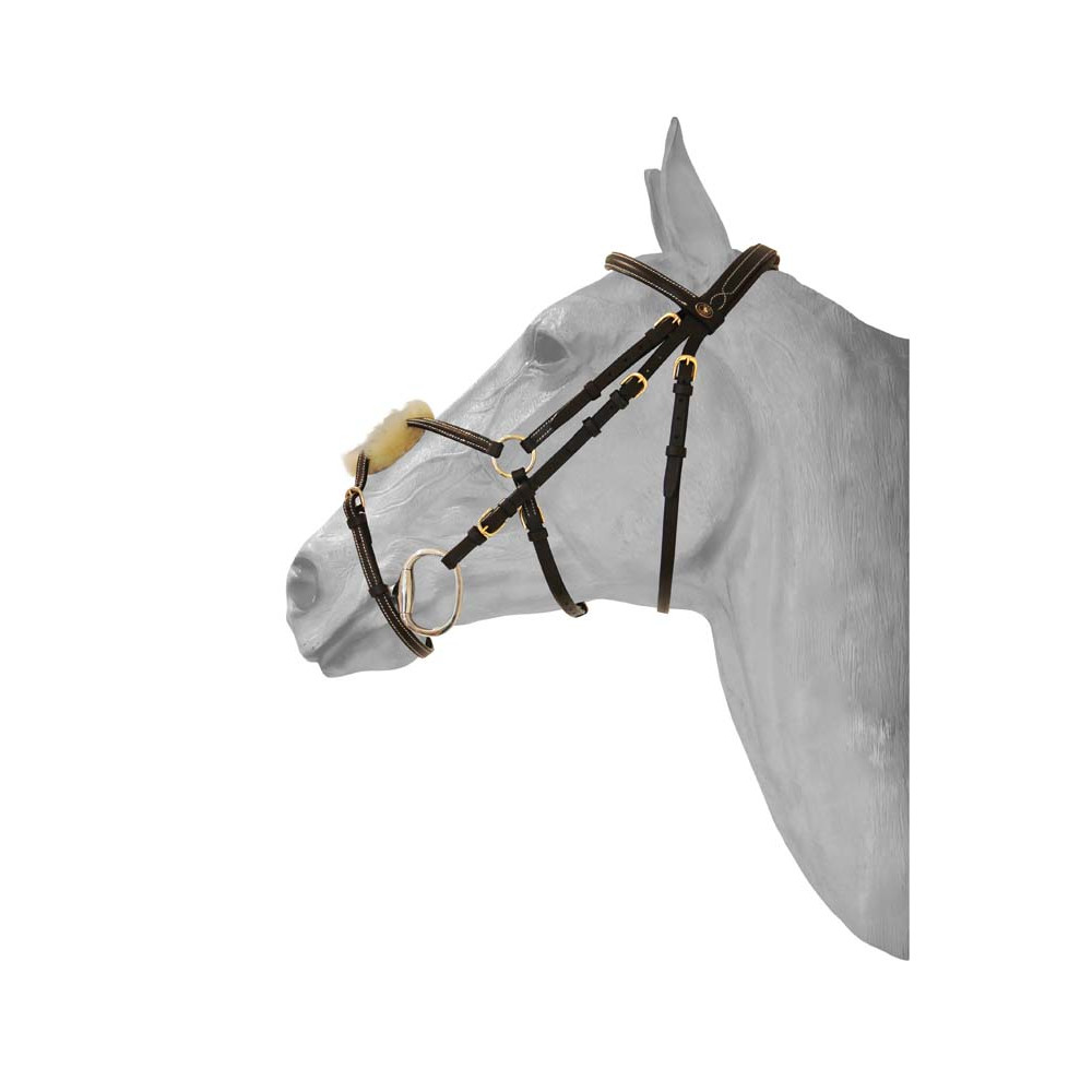 Tattini Mors Coup De Poing Pour Cheval En Acier Inoxydable Avec Tiges à 2 Anneaux