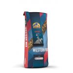 WESTERN MIX WESTERN MIX