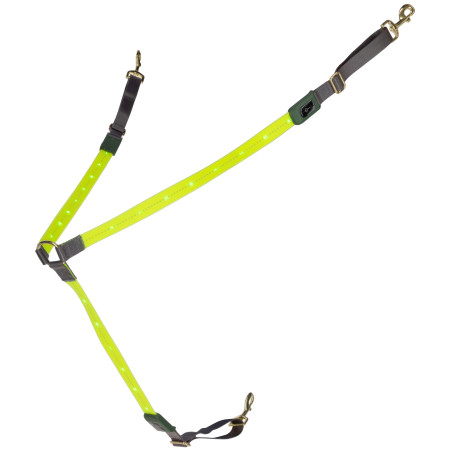 Collier de chasse à LED Covalliero