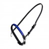 PETIT LICOL NYLON AVEC ANNEAU - Noir / bleu