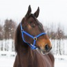 Licol Yankee Finn-Tack nylon 20 mm - Bleu