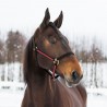 Licol Yankee Finn-Tack nylon 20 mm - Noir / rouge