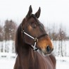 Licol Yankee Finn-Tack nylon 20 mm - Noir / blanc