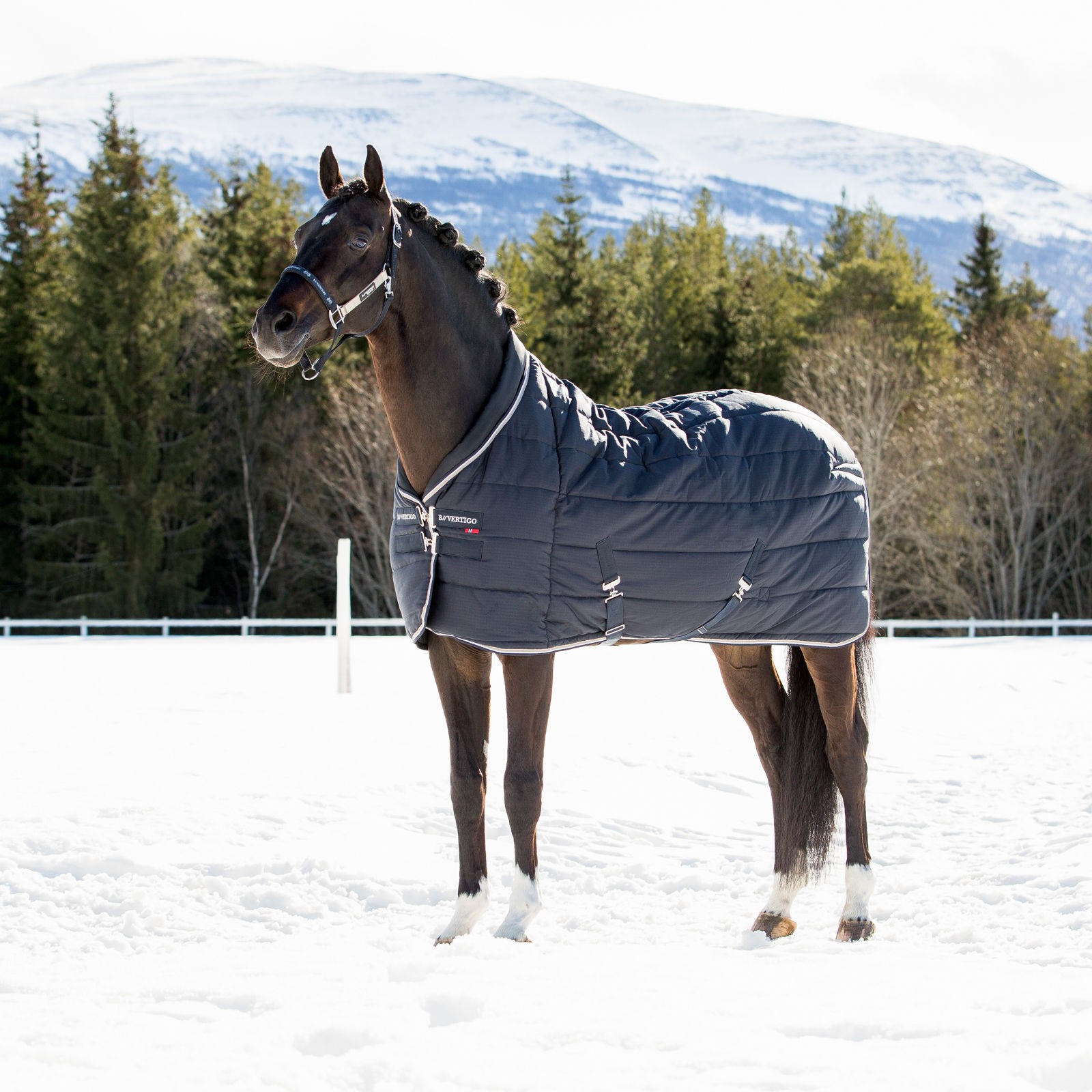 Couverture d'écurie Tim B Vertigo 400g Bleu marine Couverture d'écurie Tim B Vertigo 400g Bleu marine