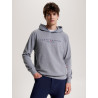 Sweat à capuche Graphique Tommy Hilfiger Equestrian Williamsburg unisexe - Gris mélangé