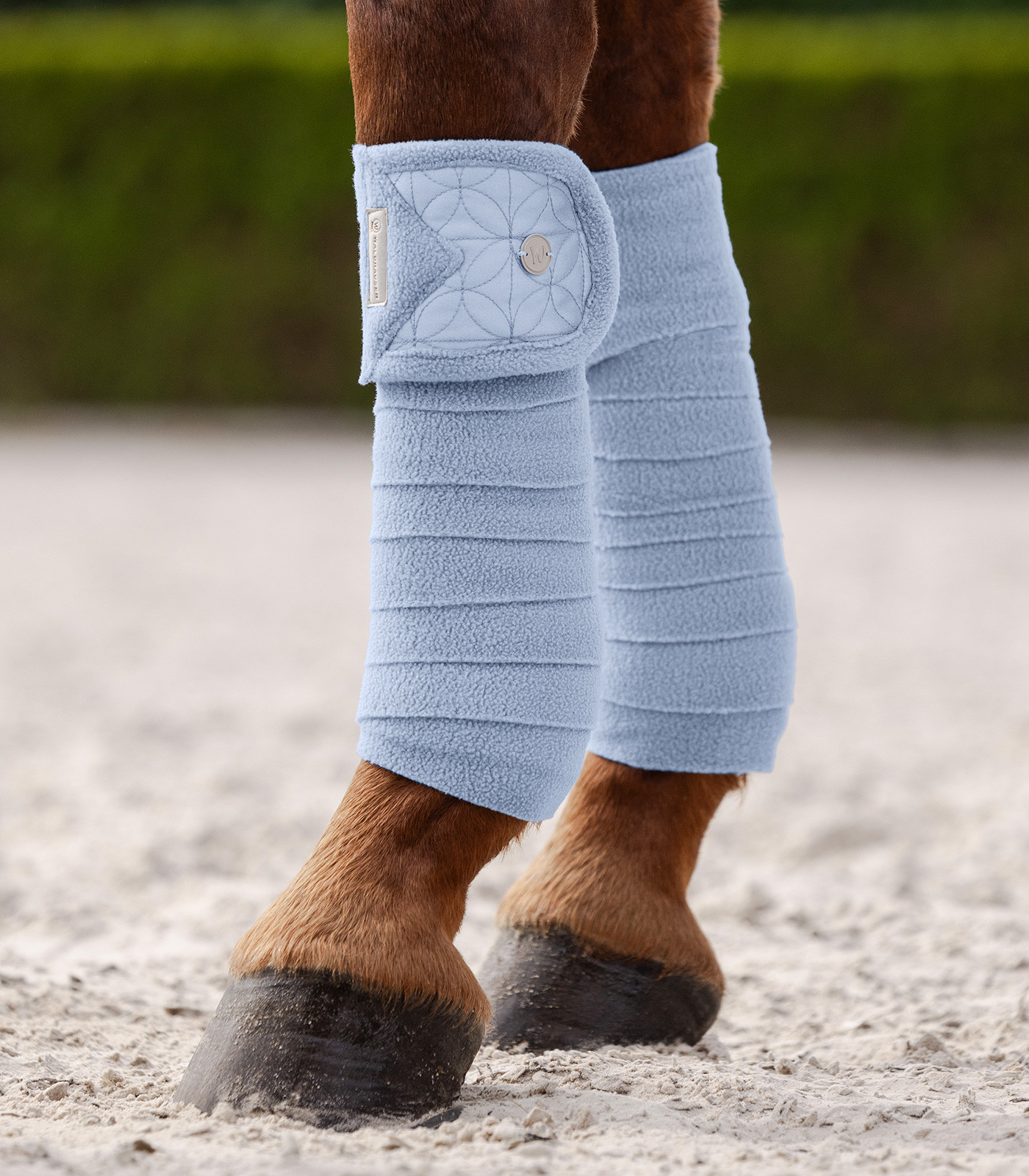 Bandes polaire Waldhausen Rom par 4 Bleu pastel Bandes polaire Waldhausen Rom par 4 Bleu pastel