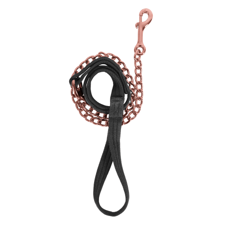 Chaîne de présentation Waldhausen Soft