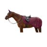 Couverture d'équitation anti-mouches Waldhausen Rom - Rouge velouté