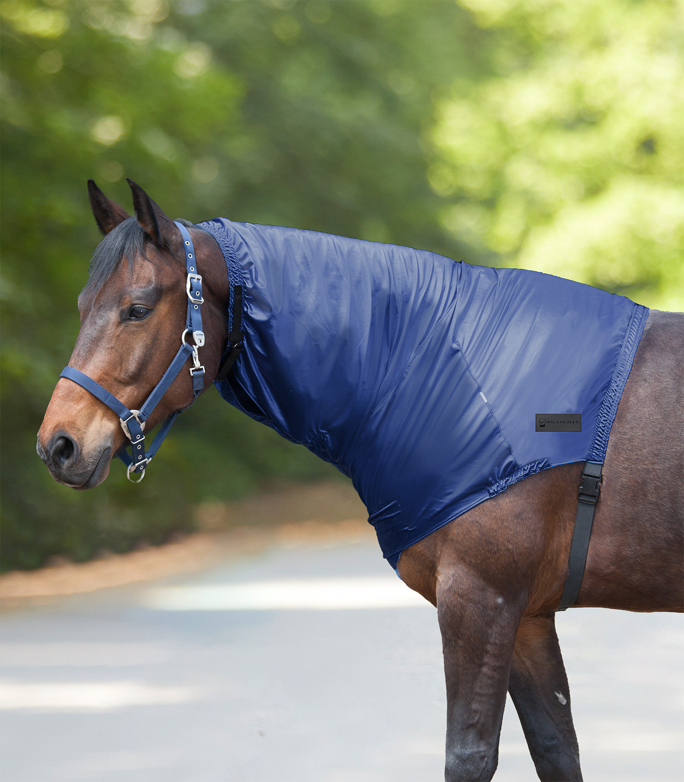 Couvre-cou anti-eczéma Waldhausen Bleu nocturne
