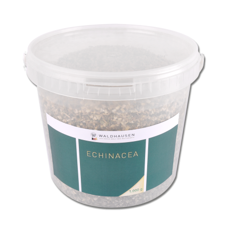Échinacée Waldhausen