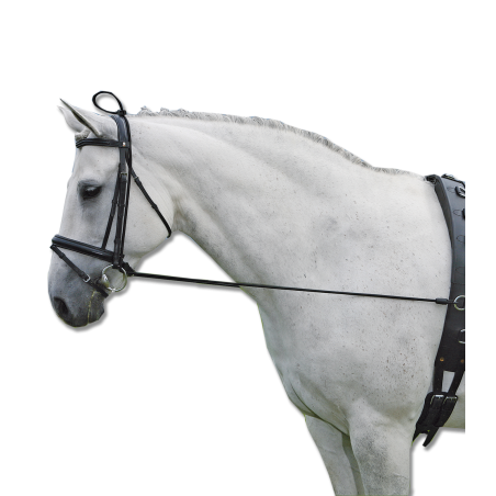 Elongateur Waldhausen d‘encolure élastique