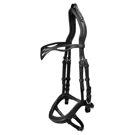 Filet Waldhausen Island anatomique