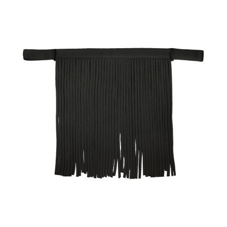 Frontal chasse-mouche Waldhausen Salon