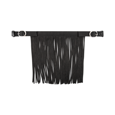 Frontal chasse-mouches Waldhausen boucle