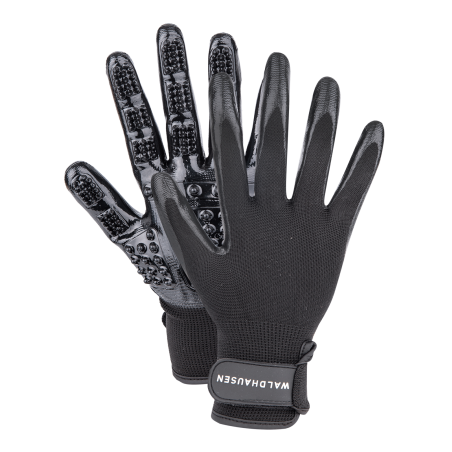 Gant de pansage Waldhausen