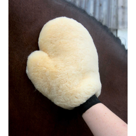 Gants en Mouton Waldhausen