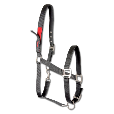 Licol de sécurité Waldhausen