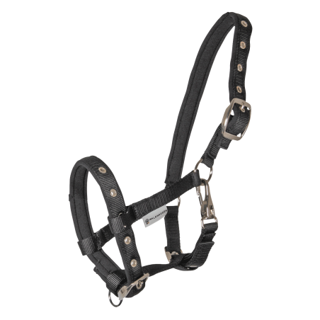 Licol Poulain Waldhausen Confort