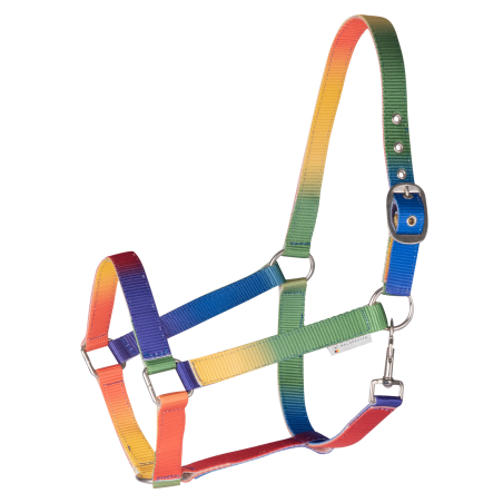 Licol Waldhausen Arc-en-ciel