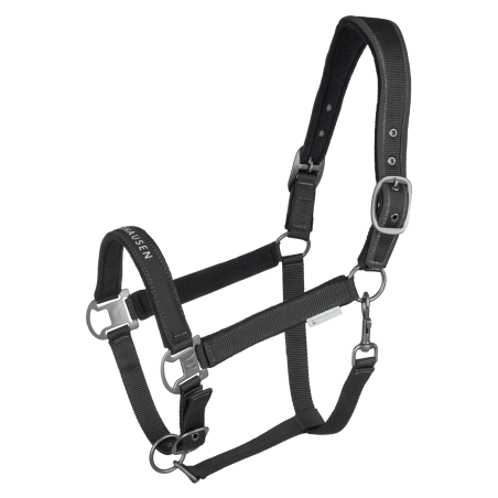 Licol Waldhausen Atheltic