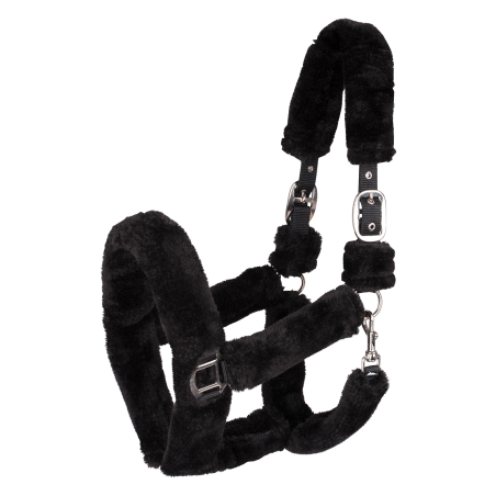 Licol Waldhausen Cozy