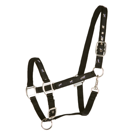 Licol Waldhausen déco Petits chevaux