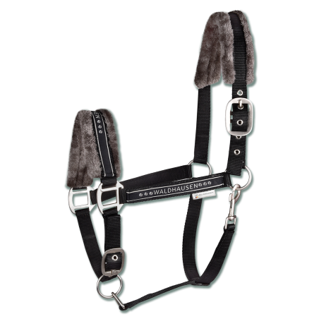 Licol Waldhausen Elegant