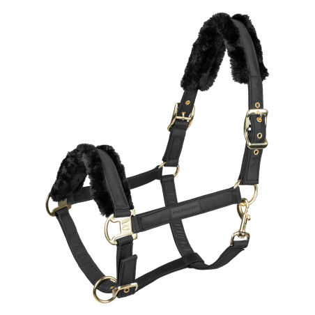 Licol Waldhausen Exclusive