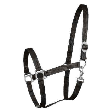 Licol Waldhausen Perlon