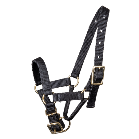 Licol Waldhausen pour alpaga