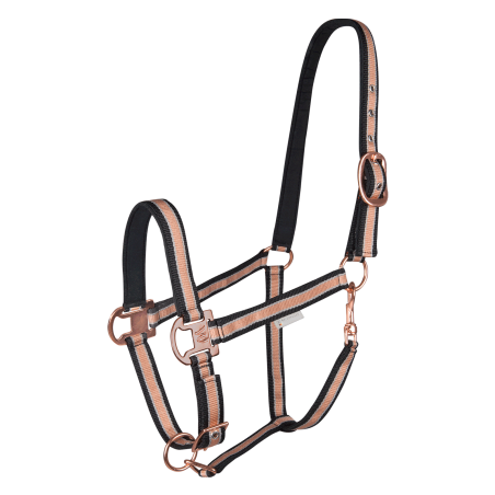 Licol Waldhausen Shine