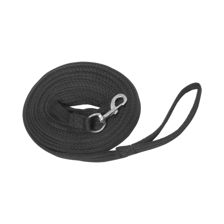 Longe à tourner Waldhausen Griffy