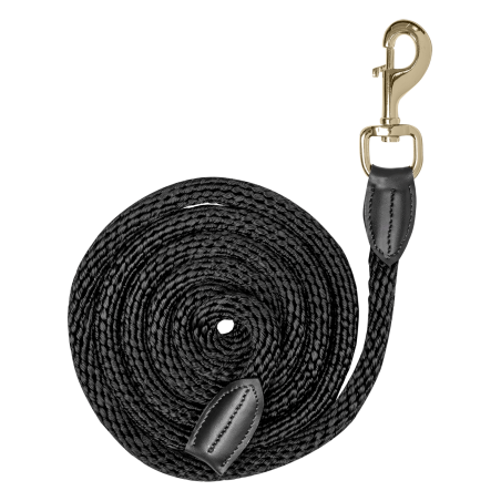 Longe de présentation Waldhausen Exclusive mousqueton