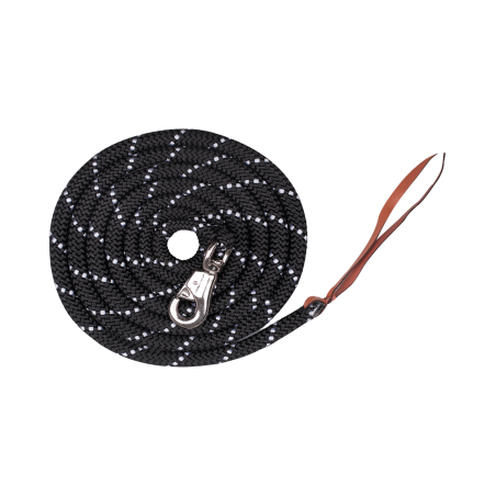 Longe de Présentation Waldhausen Western