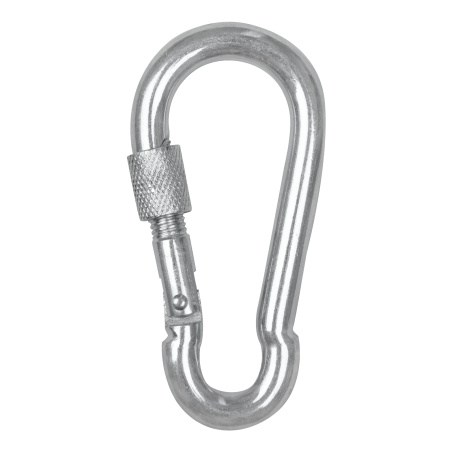 Mousqueton Waldhausen vis de sécurité