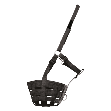 Panier Waldhausen pâturage