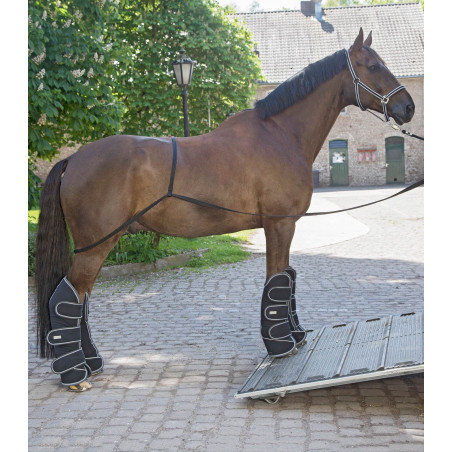 Rampe Waldhausen camion