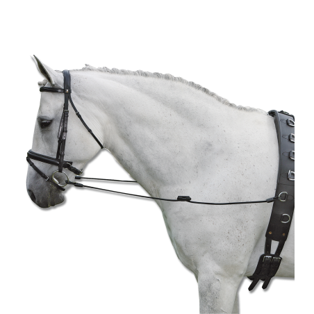 Rênes fixes Waldhausen Elastic