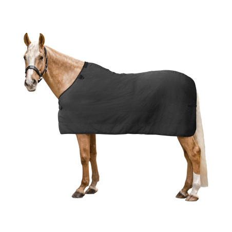 Sous-couverture Waldhausen polaire