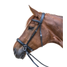 Bridon sans mors Star - Noir
