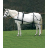 Harnais Star simple Economic de cob à grand cheval - Noir