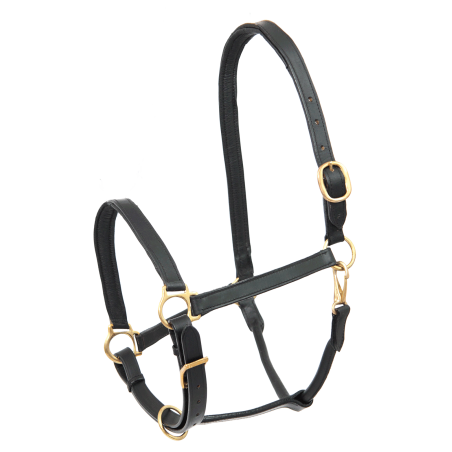 Licol cuir Star Robust