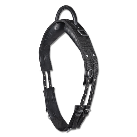 Surfaix Star à une poignée