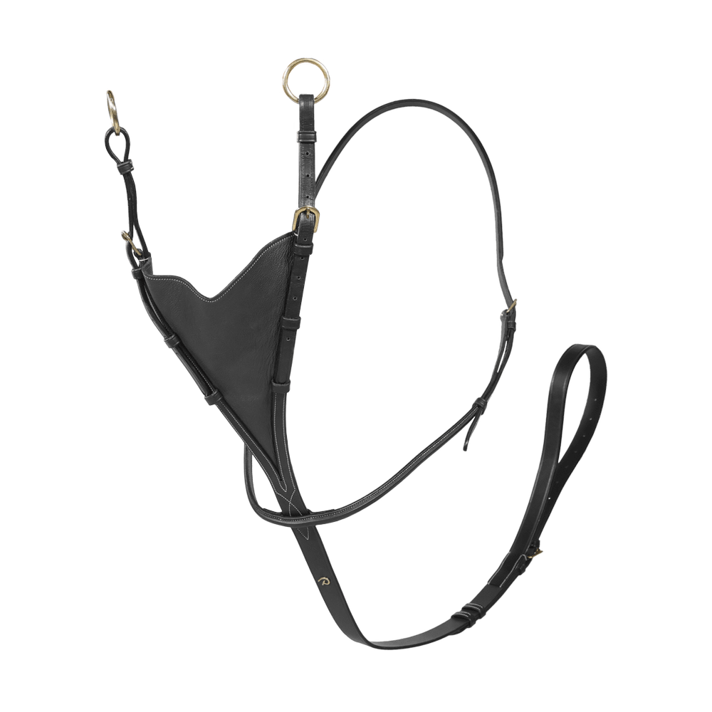 Martingale cuir a anneaux - Equiness